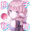 PixelBunny V1.0.0 软件下载